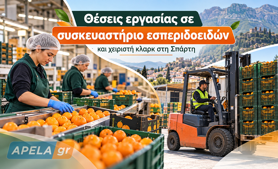 Η εταιρεία Αφοί Μπεκιάρη αναζητά προσωπικό συσκευαστηρίου εσπεριδοειδών και χειριστή κλαρκ