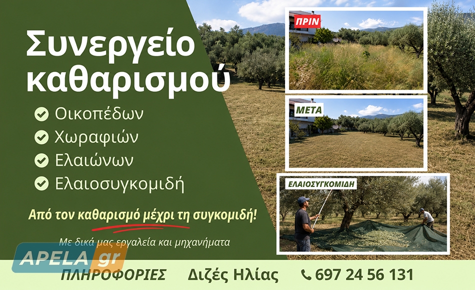 Από τον καθαρισμό μέχρι τη συγκομιδή – Το συνεργείο του Ηλία Διζέ αναλαμβάνει ολοκληρωμένες εργασίες σε ελαιώνες και χωράφια